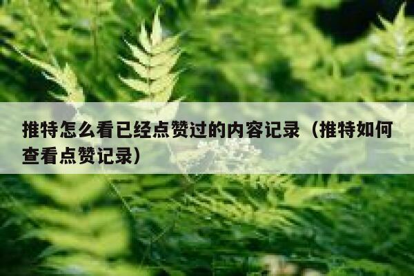 推特怎么看已经点赞过的内容记录（推特如何查看点赞记录） 第1张