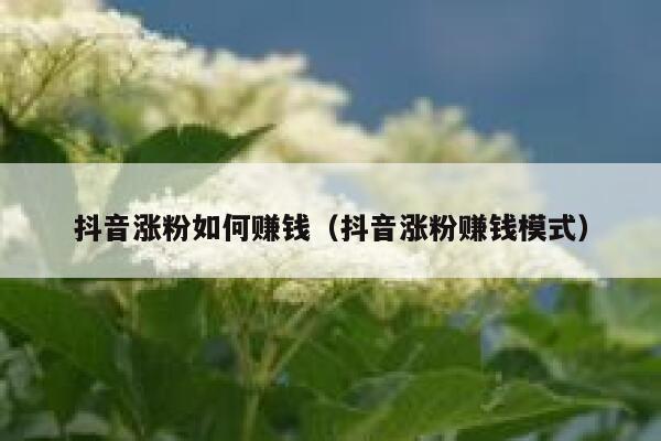 抖音涨粉如何赚钱（抖音涨粉赚钱模式） 第1张