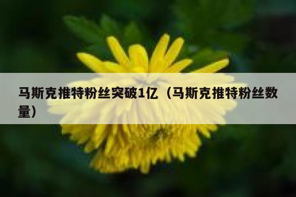 马斯克推特粉丝突破1亿（马斯克推特粉丝数量） 第1张