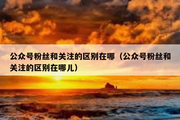 公众号粉丝和关注的区别在哪（公众号粉丝和关注的区别在哪儿） 第1张