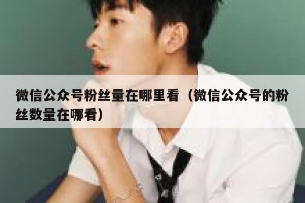 微信公众号粉丝量在哪里看（微信公众号的粉丝数量在哪看） 第1张