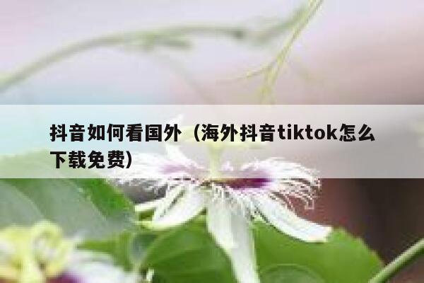 抖音如何看国外（海外抖音tiktok怎么下载免费） 第1张