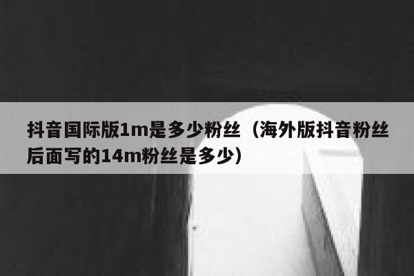 抖音国际版1m是多少粉丝（海外版抖音粉丝后面写的14m粉丝是多少） 第1张