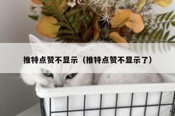 推特点赞不显示（推特点赞不显示了） 第1张