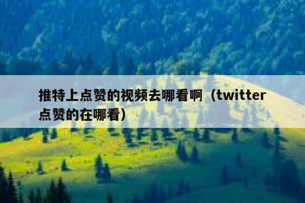 推特上点赞的视频去哪看啊（twitter点赞的在哪看） 第1张