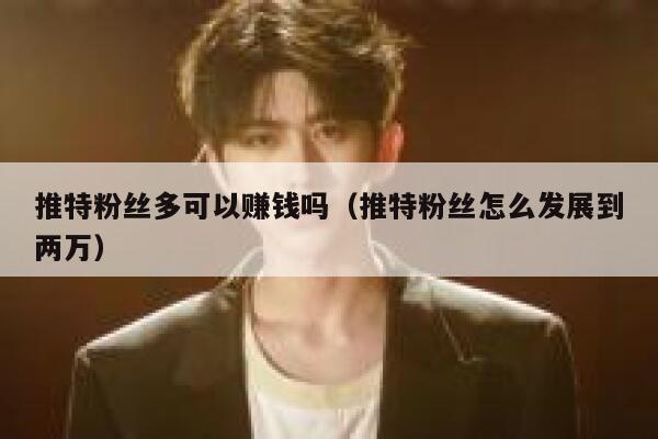 推特粉丝多可以赚钱吗（推特粉丝怎么发展到两万） 第1张