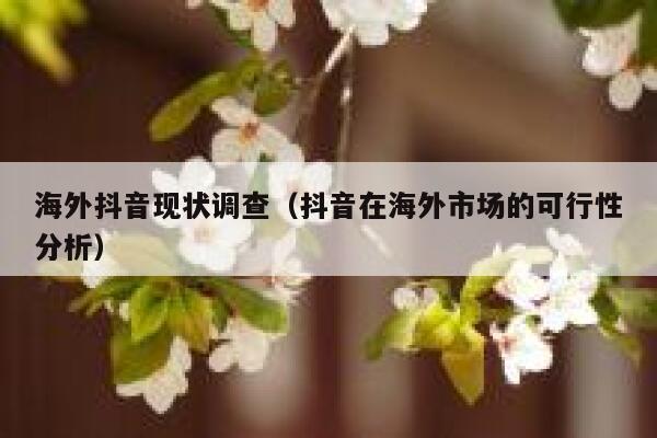 海外抖音现状调查（抖音在海外市场的可行性分析） 第1张
