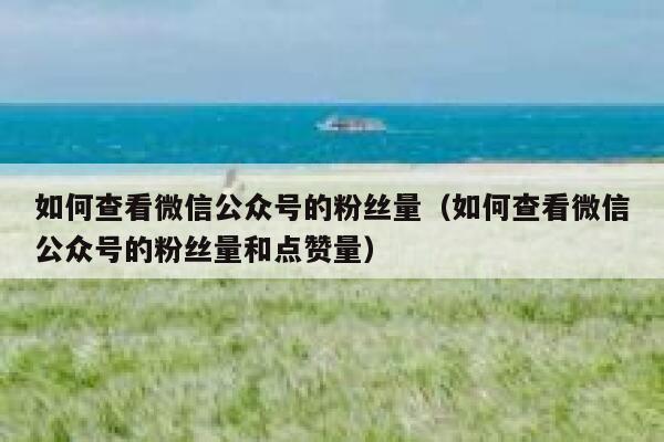 如何查看微信公众号的粉丝量（如何查看微信公众号的粉丝量和点赞量） 第1张