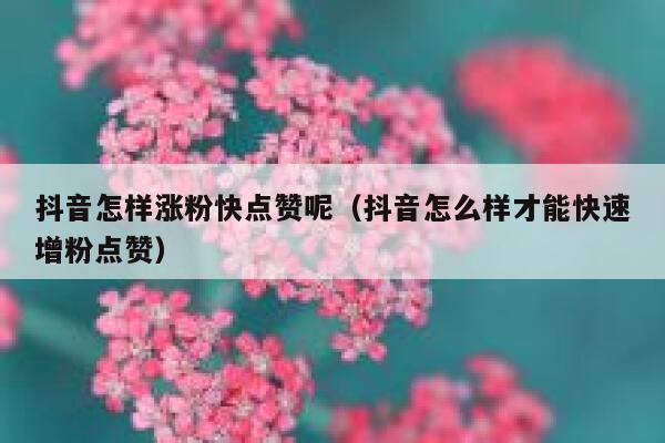 抖音怎样涨粉快点赞呢（抖音怎么样才能快速增粉点赞） 第1张
