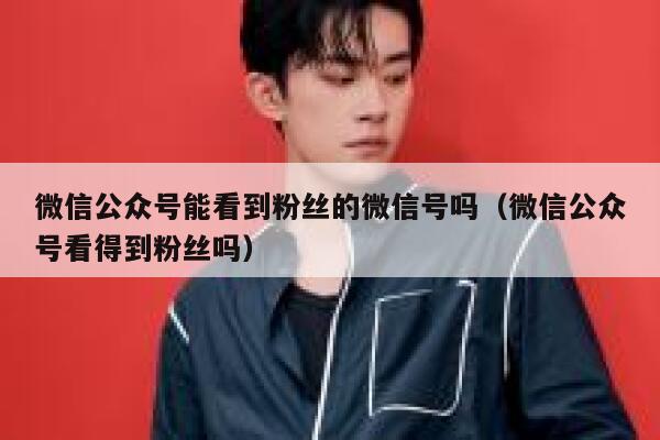 微信公众号能看到粉丝的微信号吗（微信公众号看得到粉丝吗） 第1张