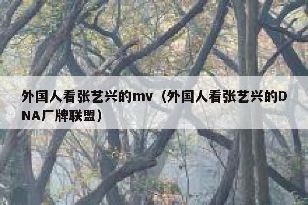 外国人看张艺兴的mv（外国人看张艺兴的DNA厂牌联盟） 第1张