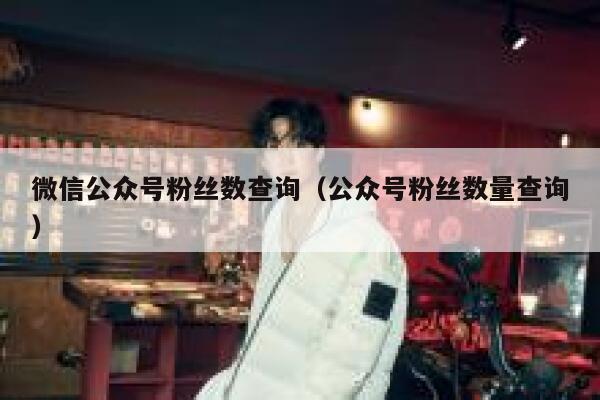 微信公众号粉丝数查询（公众号粉丝数量查询） 第1张