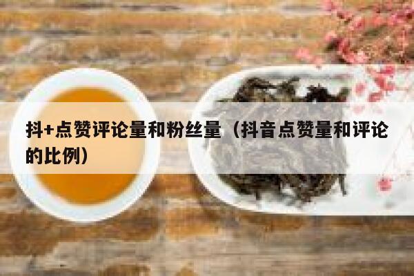 抖+点赞评论量和粉丝量（抖音点赞量和评论的比例） 第1张