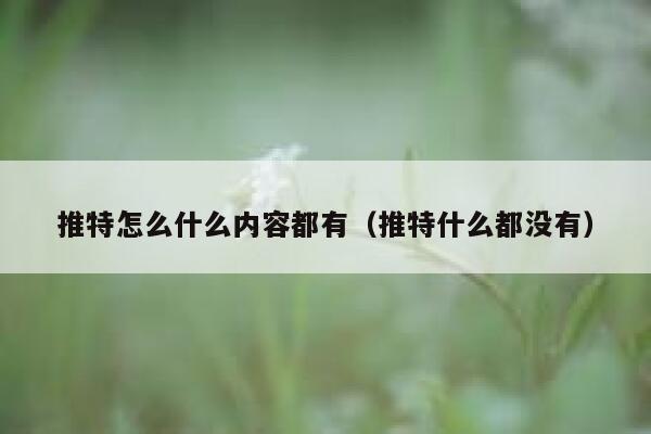 推特怎么什么内容都有（推特什么都没有） 第1张