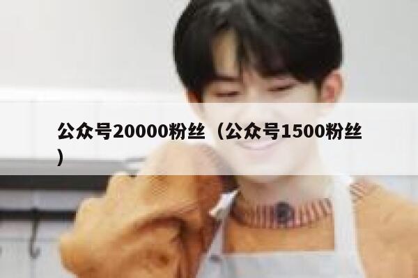 公众号20000粉丝（公众号1500粉丝） 第1张