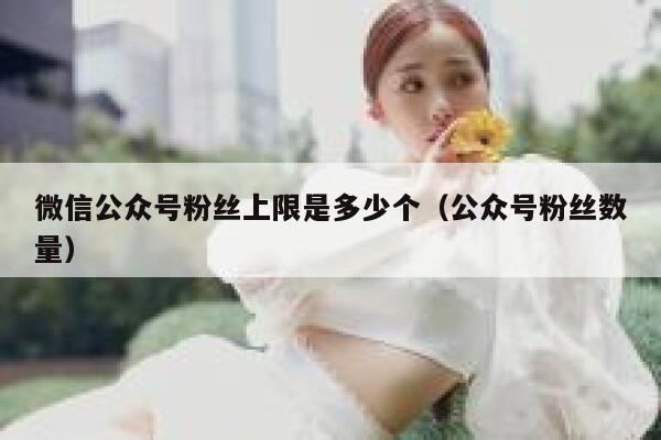 微信公众号粉丝上限是多少个（公众号粉丝数量） 第1张