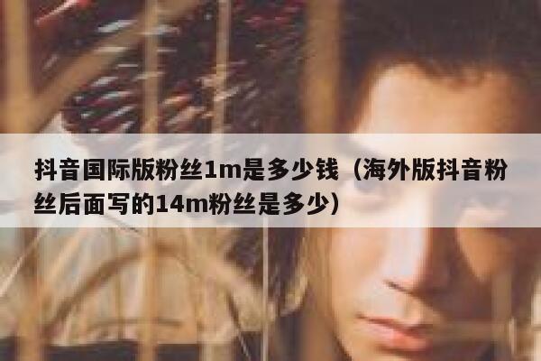 抖音国际版粉丝1m是多少钱（海外版抖音粉丝后面写的14m粉丝是多少） 第1张