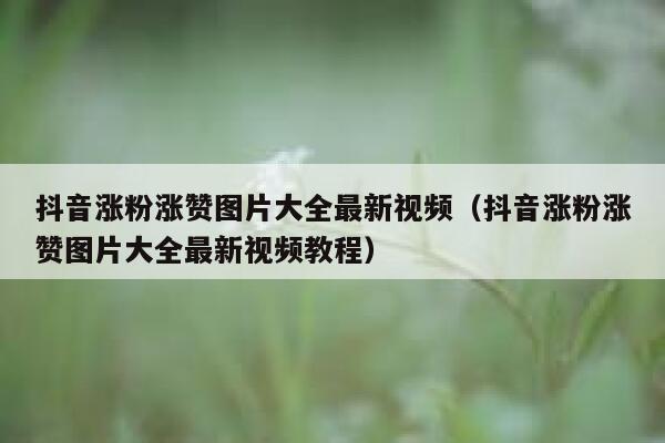 抖音涨粉涨赞图片大全最新视频（抖音涨粉涨赞图片大全最新视频教程） 第1张