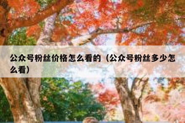 公众号粉丝价格怎么看的（公众号粉丝多少怎么看） 第1张