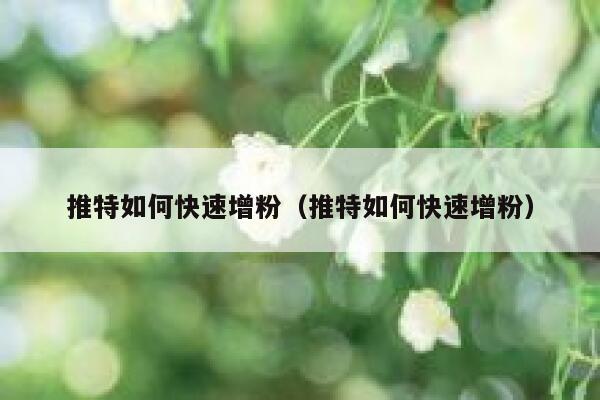 推特如何快速增粉（推特如何快速增粉） 第1张