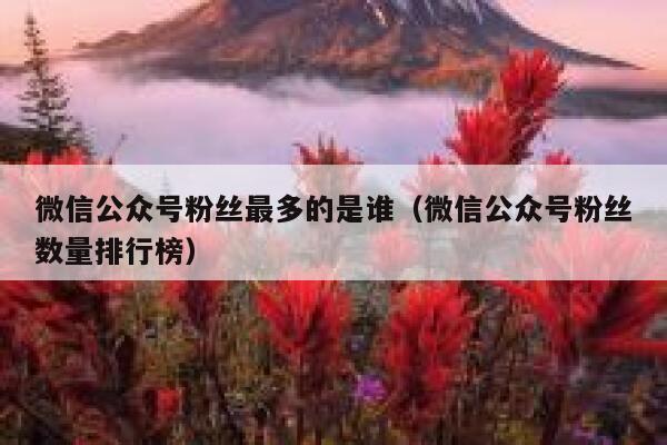 微信公众号粉丝最多的是谁（微信公众号粉丝数量排行榜） 第1张