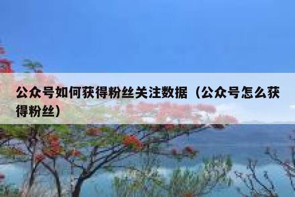 公众号如何获得粉丝关注数据（公众号怎么获得粉丝） 第1张