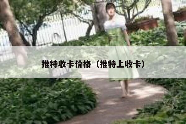 推特收卡价格（推特上收卡） 第1张