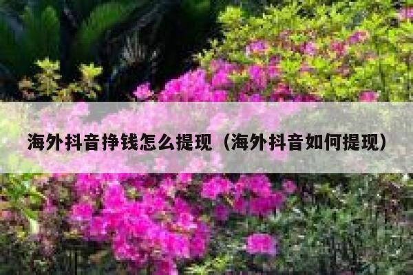 海外抖音挣钱怎么提现（海外抖音如何提现） 第1张