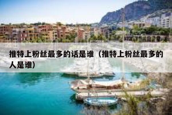 推特上粉丝最多的话是谁（推特上粉丝最多的人是谁） 第1张
