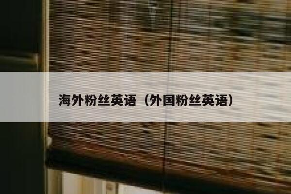 海外粉丝英语（外国粉丝英语） 第1张