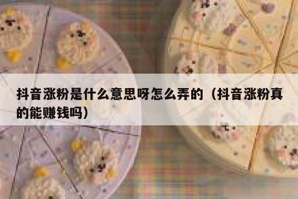 抖音涨粉是什么意思呀怎么弄的（抖音涨粉真的能赚钱吗） 第1张