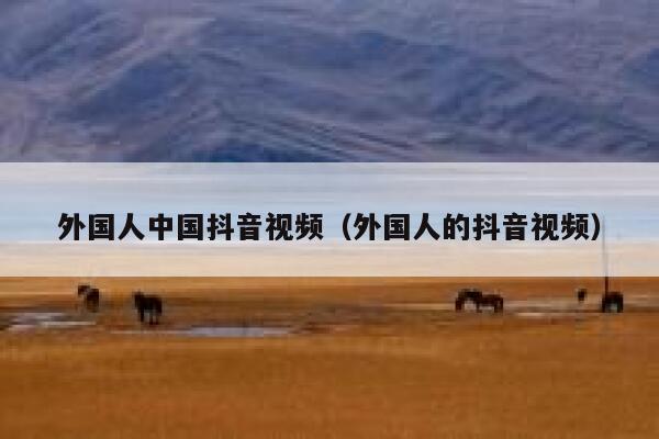 外国人中国抖音视频（外国人的抖音视频） 第1张