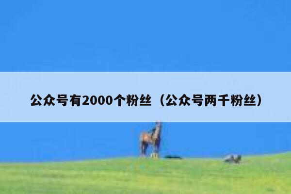 公众号有2000个粉丝（公众号两千粉丝） 第1张