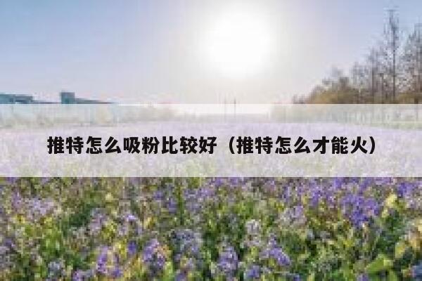 推特怎么吸粉比较好（推特怎么才能火） 第1张