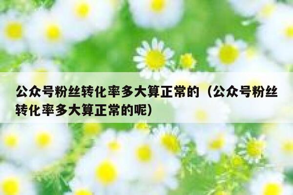 公众号粉丝转化率多大算正常的（公众号粉丝转化率多大算正常的呢） 第1张