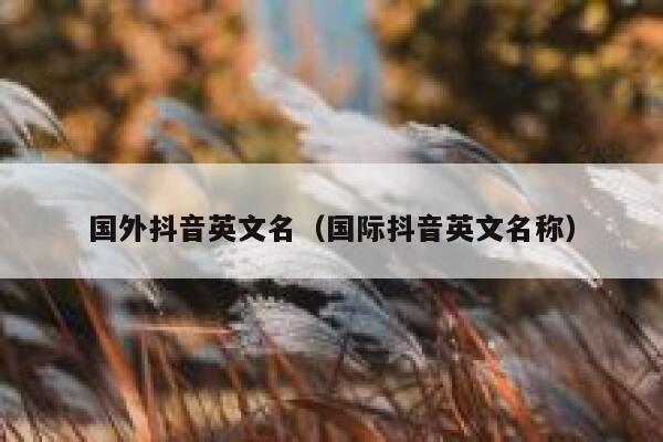 国外抖音英文名（国际抖音英文名称） 第1张