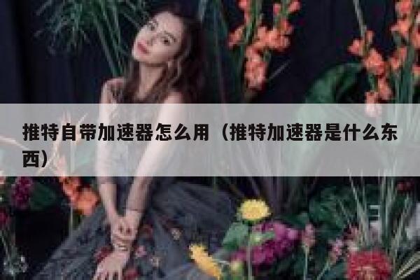 推特自带加速器怎么用（推特加速器是什么东西） 第1张