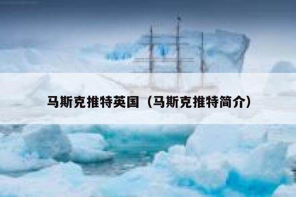 马斯克推特英国（马斯克推特简介） 第1张