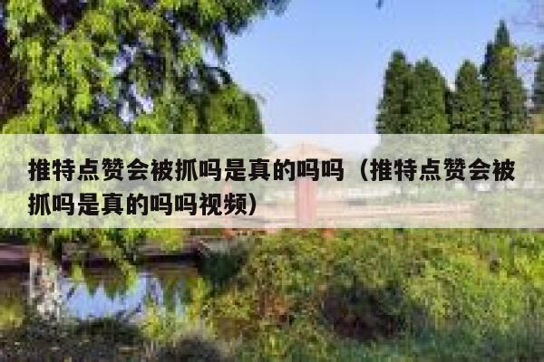 推特点赞会被抓吗是真的吗吗（推特点赞会被抓吗是真的吗吗视频） 第1张