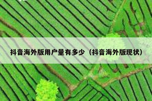 抖音海外版用户量有多少（抖音海外版现状） 第1张