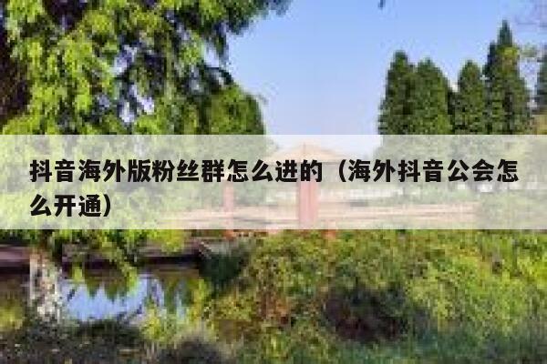 抖音海外版粉丝群怎么进的（海外抖音公会怎么开通） 第1张