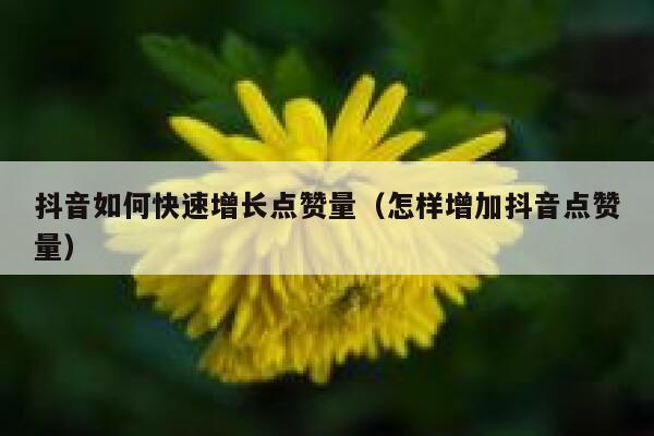 抖音如何快速增长点赞量（怎样增加抖音点赞量） 第1张