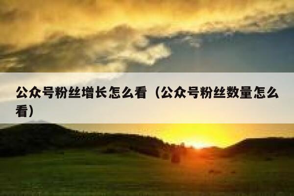 公众号粉丝增长怎么看（公众号粉丝数量怎么看） 第1张