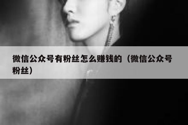 微信公众号有粉丝怎么赚钱的（微信公众号 粉丝） 第1张
