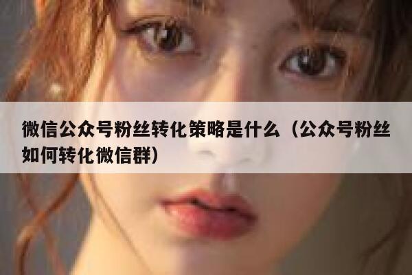 微信公众号粉丝转化策略是什么（公众号粉丝如何转化微信群） 第1张