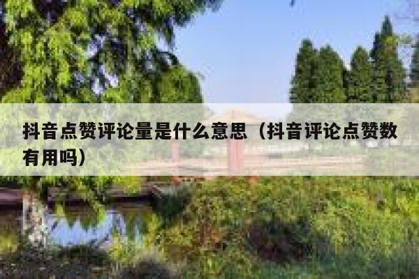 抖音点赞评论量是什么意思（抖音评论点赞数有用吗） 第1张