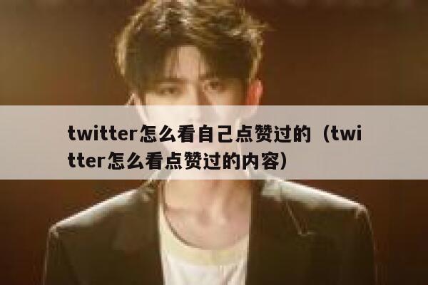 twitter怎么看自己点赞过的（twitter怎么看点赞过的内容） 第1张