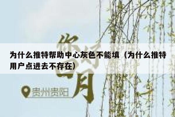 为什么推特帮助中心灰色不能填（为什么推特用户点进去不存在） 第1张