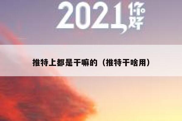 推特上都是干嘛的（推特干啥用） 第1张