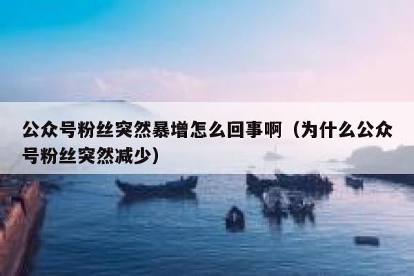 公众号粉丝突然暴增怎么回事啊（为什么公众号粉丝突然减少） 第1张